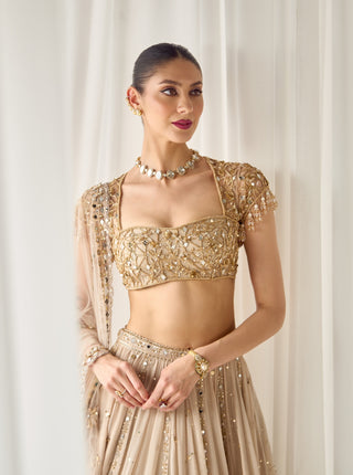 Beige mukaish and mirrorwork lehenga set