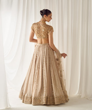 Beige mukaish and mirrorwork lehenga set