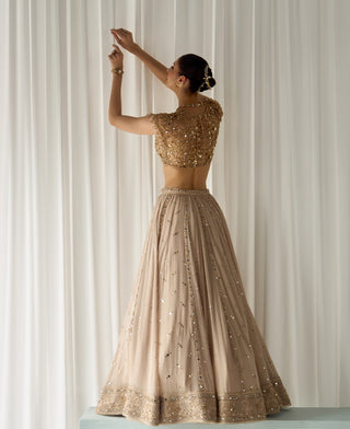 Beige mukaish and mirrorwork lehenga set