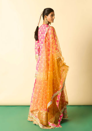 Rani pink embroidered sharara set