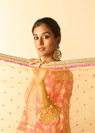 Rani pink embroidered sharara set