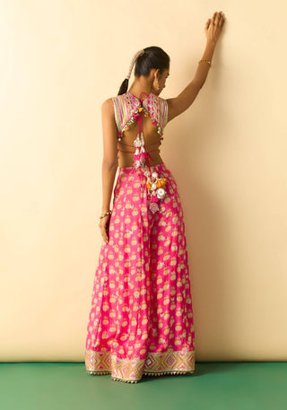 Rani pink embroidered corset pant set