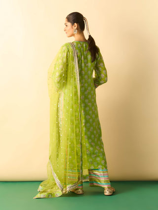 Lime green gold booti striped festive kurta set