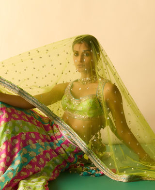 Multicolor panelled gold booti lehenga set
