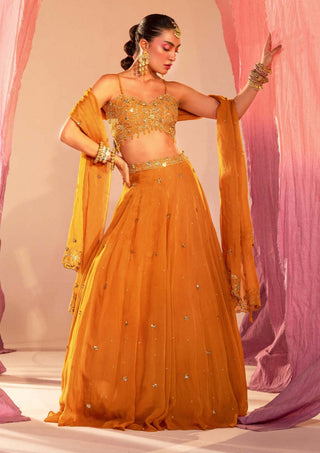 Silky Bindra-Yellow Embroidered Lehenga Set-INDIASPOPUP.COM