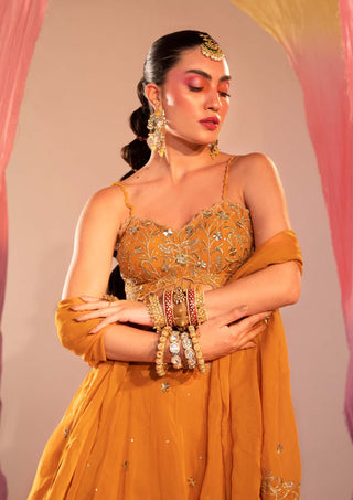 Silky Bindra-Yellow Embroidered Lehenga Set-INDIASPOPUP.COM