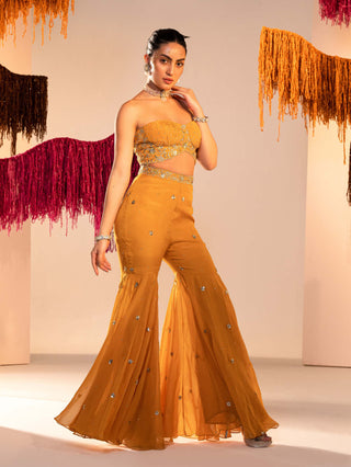 Silky Bindra-Yellow Embroidered Corset And Garara-INDIASPOPUP.COM