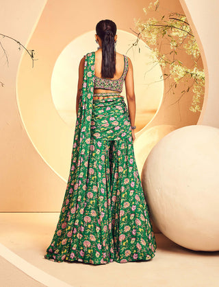 Aneesh Agarwaal-Green Printed Sharara Pre-Stitched Sari Set-INDIASPOPUP.COM