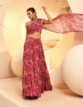 Aneesh Agarwaal-Red Rouched Blouse And Lehenga-INDIASPOPUP.COM
