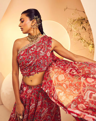 Aneesh Agarwaal-Red Rouched Blouse And Lehenga-INDIASPOPUP.COM