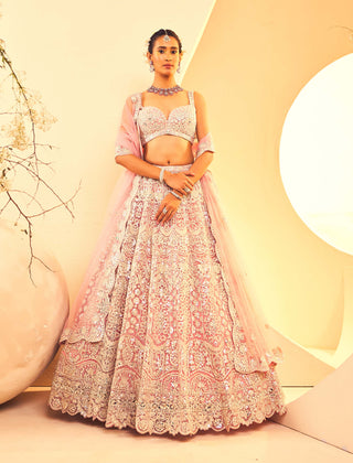Aneesh Agarwaal-Pink Tulle Embroidered Lehenga Set-INDIASPOPUP.COM