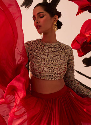 Bhumika Sharma-Retro Red Floral Embroidered Lehenga Set-INDIASPOPUP.COM