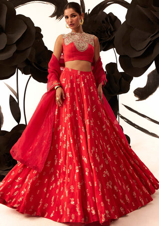 Bhumika Sharma-Red Floret Lehenga Set-INDIASPOPUP.COM