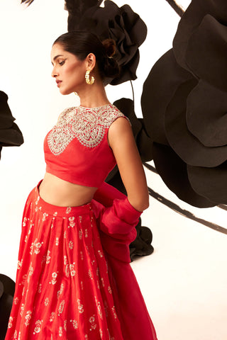 Bhumika Sharma-Red Floret Lehenga Set-INDIASPOPUP.COM