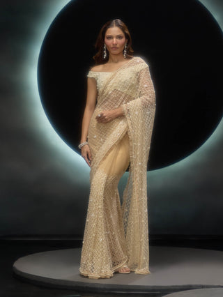 Vanya golden sari and blouse