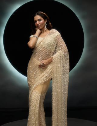 Vanya golden sari and blouse
