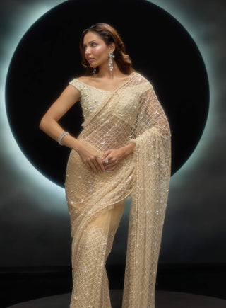 Vanya golden sari and blouse