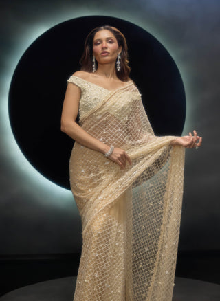 Vanya golden sari and blouse