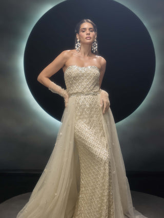 Radiara ivory gown with trail skirt