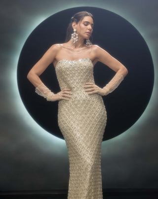 Radiara ivory gown with trail skirt