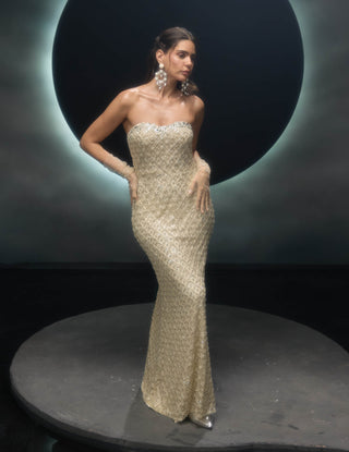 Radiara ivory gown with trail skirt