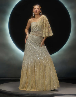 Metalika golden lehenga and bustier