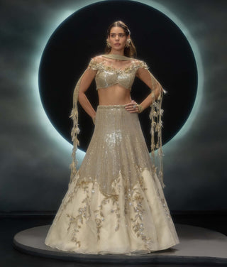 Amara golden sequins lehenga set