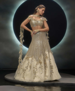 Amara golden sequins lehenga set