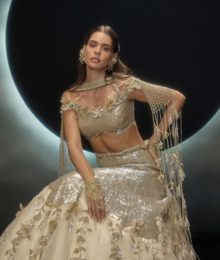 Amara golden sequins lehenga set