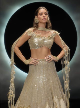 Amara golden sequins lehenga set