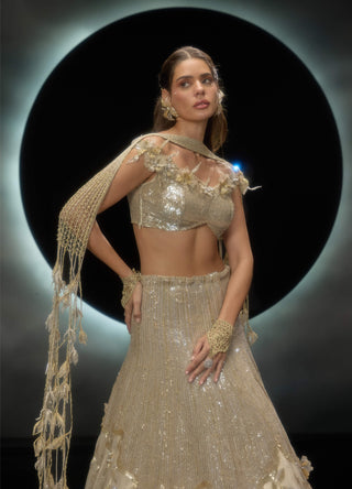 Amara golden sequins lehenga set