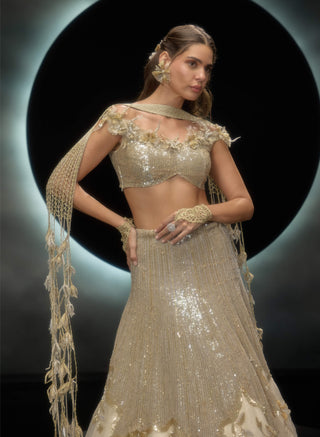 Amara golden sequins lehenga set