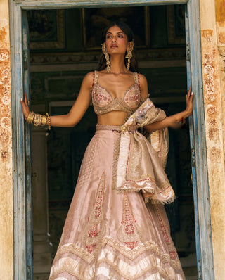 Rose gold silk zari tissue lehenga set