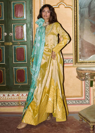 Mustard yellow tissue anarkali and dupatta