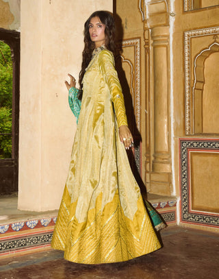 Mustard yellow tissue anarkali and dupatta