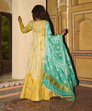 Mustard yellow tissue anarkali and dupatta
