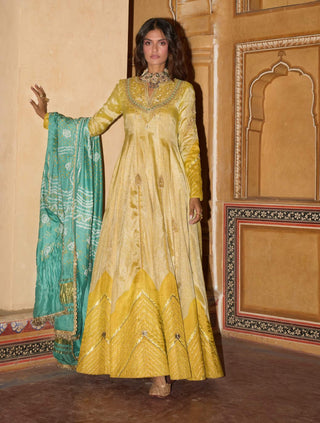 Mustard yellow tissue anarkali and dupatta
