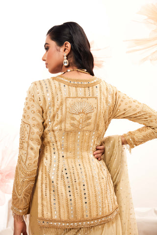 Golden Rush Sari And Full Sleeved Blouse by Payal And Zinal available on Indiaspopup.com