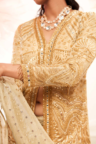 Golden rush sari and full sleeved blouse