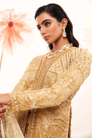 Golden rush sari and full sleeved blouse