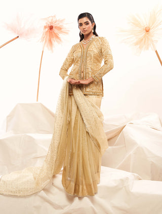 Golden rush sari and full sleeved blouse