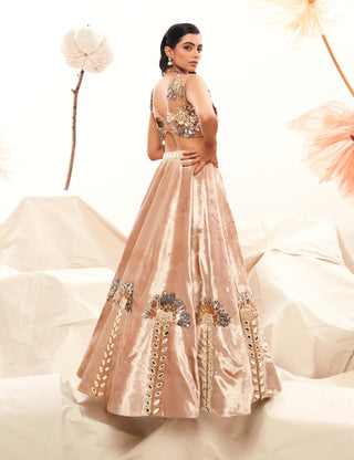 Champagne Velvet Lehenga And Blouse by Payal And Zinal available on Indiaspopup.com