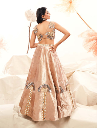 Champagne Velvet Lehenga And Blouse by Payal And Zinal available on Indiaspopup.com