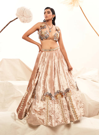 Champagne Velvet Lehenga And Blouse by Payal And Zinal available on Indiaspopup.com