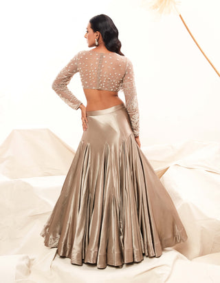 Silver Silk Lehenga And Blouse by Payal And Zinal available on Indiaspopup.com