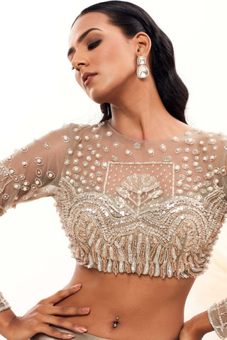 Silver silk lehenga and blouse