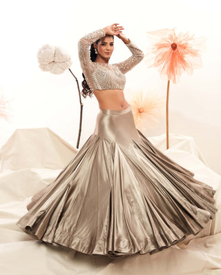 Silver Silk Lehenga And Blouse by Payal And Zinal available on Indiaspopup.com