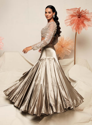 Silver Silk Lehenga And Blouse by Payal And Zinal available on Indiaspopup.com