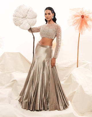 Silver Silk Lehenga And Blouse by Payal And Zinal available on Indiaspopup.com