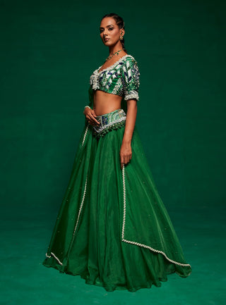 Green Organza Lehenga Set by Payal And Zinal available on Indiaspopup.com